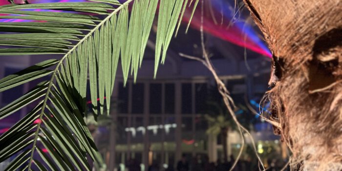 Partymomente auf AIDA - hier AIDA Prima