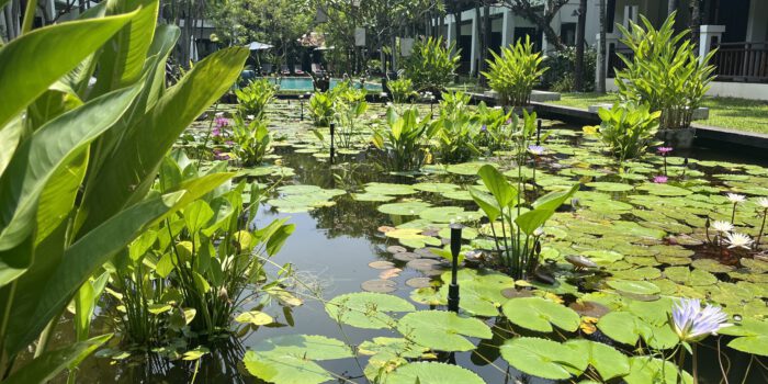 Vientiane
