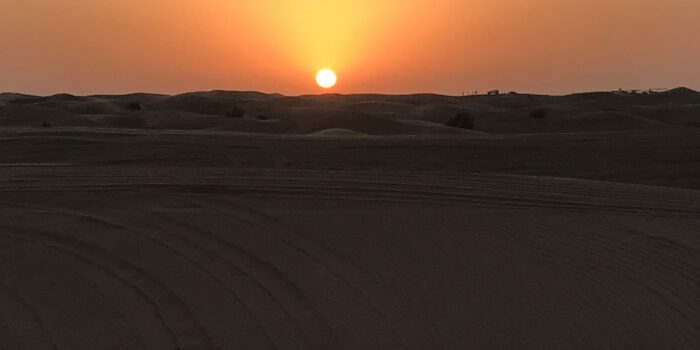 Dubai_Wüste