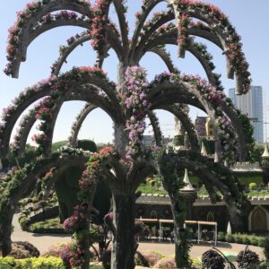 miracele garden_2