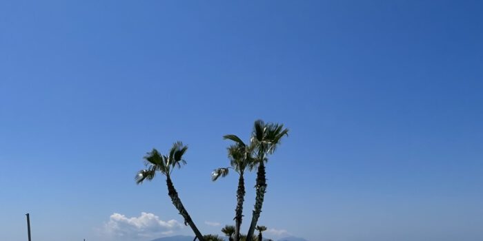 Poolaussichten